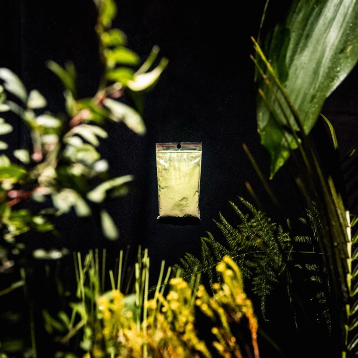 AFOKINO uvádí diváckého vítěze AFO60 – Sběratelé kratomu