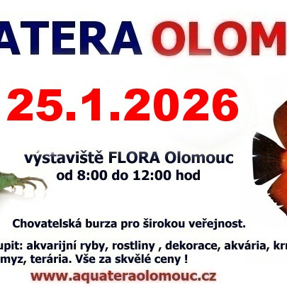Aquatera Olomouc