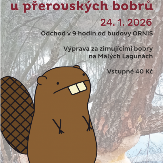 Návštěva u přerovských bobrů