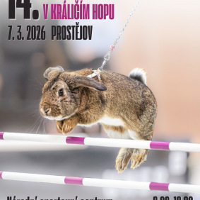 Mistrovství ČR v králičím hopu 2026