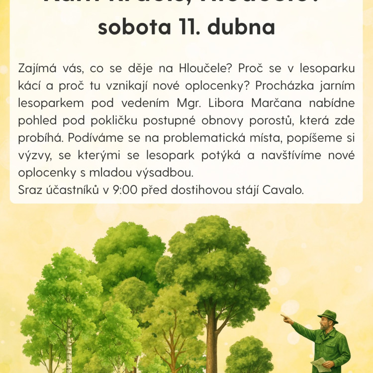 Kam kráčíš, Hloučelo?