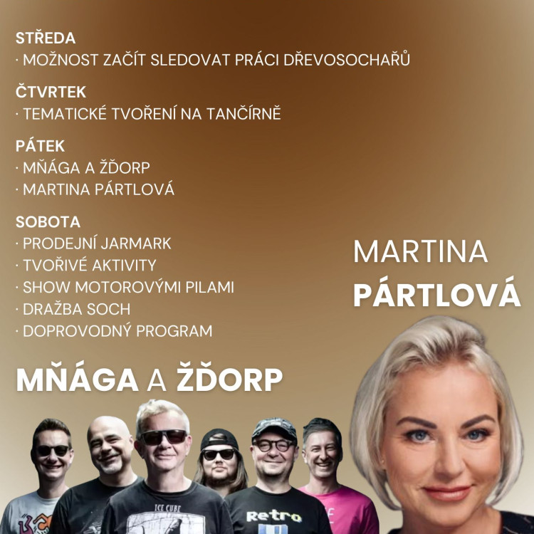 Sympózium Dřevosochání