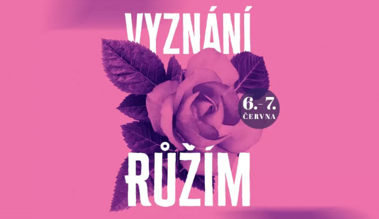 Vyznání růžím