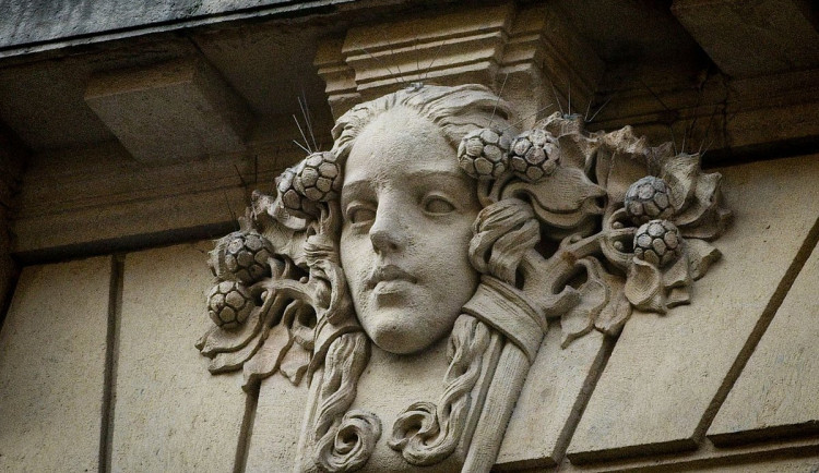 Celda Klouček - sochař, štukatér, pedagog a paleontolog