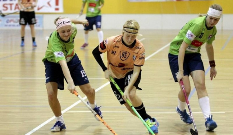 Boj o záchranu dopadl dobře. Zdroj: www.tempish.cz