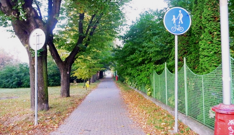 Cyklisté mají v Olomouci dobré zázemí. Ilustrační foto: archiv