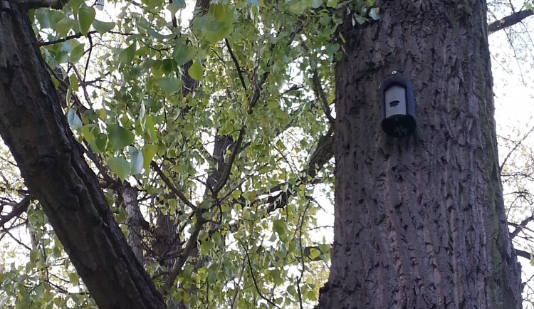 Ptačí budky čekají na nové nájemníky. Foto: bel