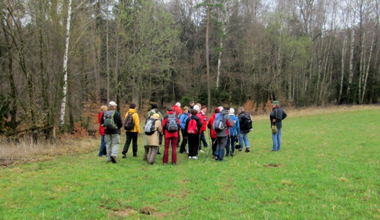 Vycházky do přírody jsou součástí programu  EDO. Foto archiv EDO