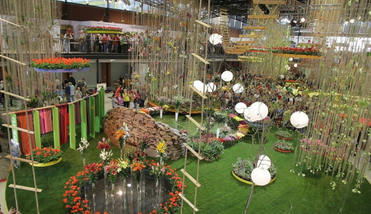 Jarní Flora letos vítá návštěvníky v rekonstruovaném hlavním pavilonu A. Foto: MMOl/ Blanka Martinovská
