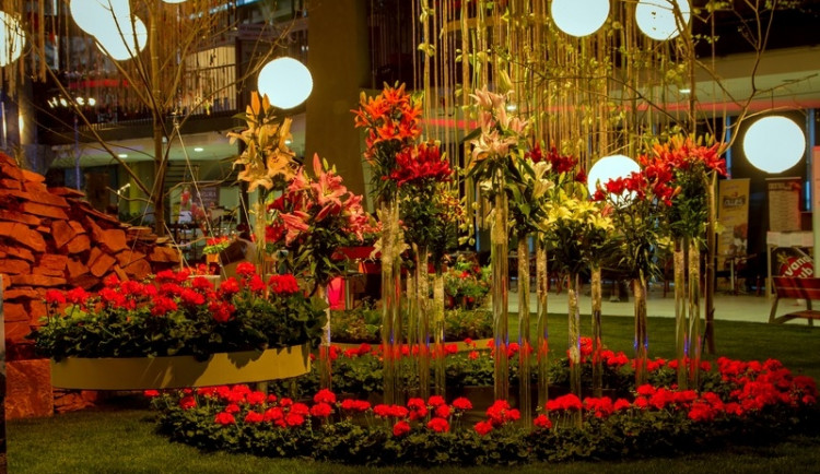 Rekonstrtuovaný pavilon A a krásná expozice zaujaly desetitisíce lidí. Foto: flora-ol.cz