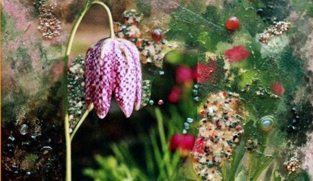 autor: Klaudie Šindelářová