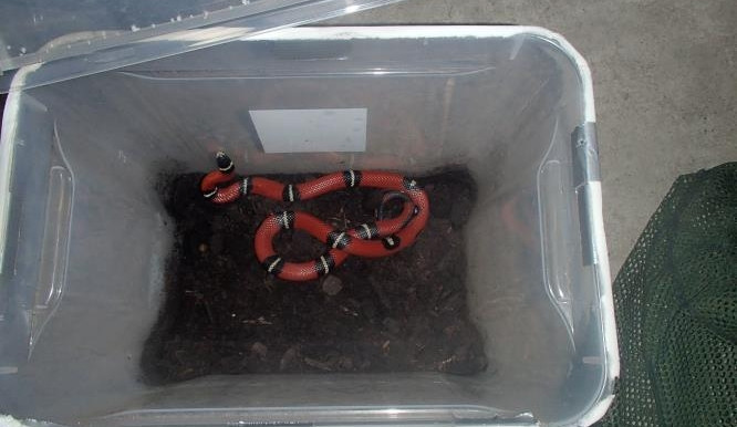 TP_olomouc_had_17-5-2014