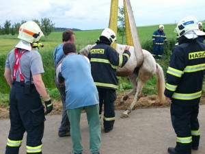 TP_senicka_5-6-20141