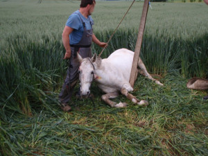 TP_senicka_5-6-20144