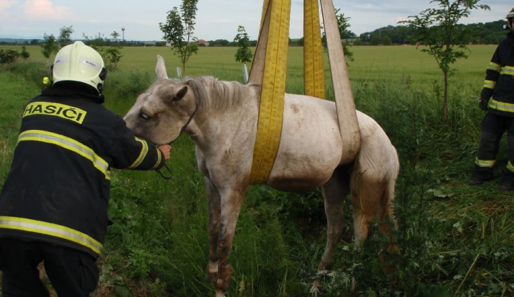 TP_senicka_5-6-20147