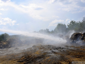 3-pozar_pole_losov_3-8-2014-(11)