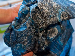 Kurzy olomouc - vosková rezerváž