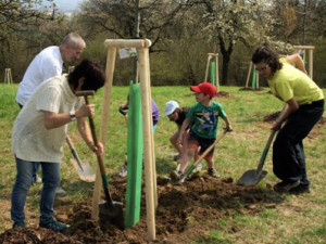 Zasadit strom a ještě pomoci druhým? V Olomouci se vysazuje nový park