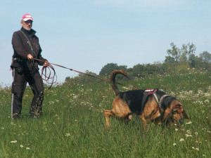 Školačky ztracené na Slovensku našel pes Cassino z Uničova