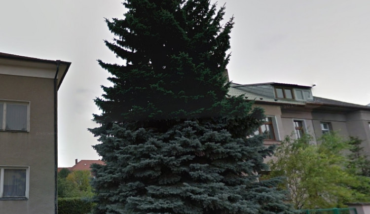 Snímek obrazovky 2014-11-10 v 11.31.34