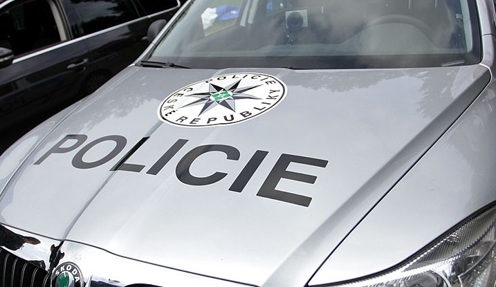 ilustracni-foto-policie[1]