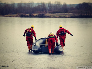 Olomoučtí hasiči zachránili srnku, pod kterou se propadl led