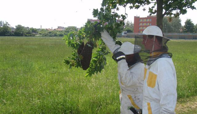 ilustrační fotografie