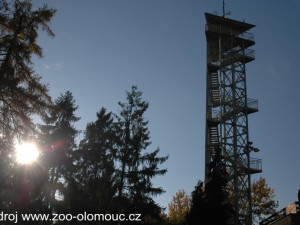 Opravuje se věž v zoo na Svatém Kopečku, hotovo by mělo být na konci června