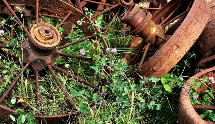 ilustrační fotografie