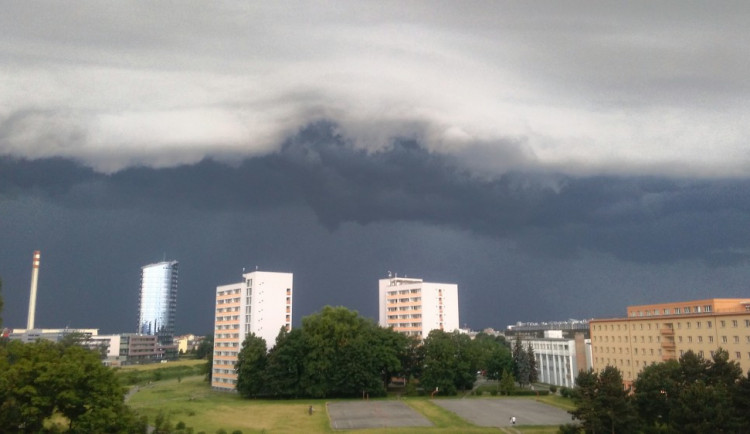 Foto: Dominika Kania