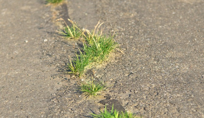 ilustrační fotografie