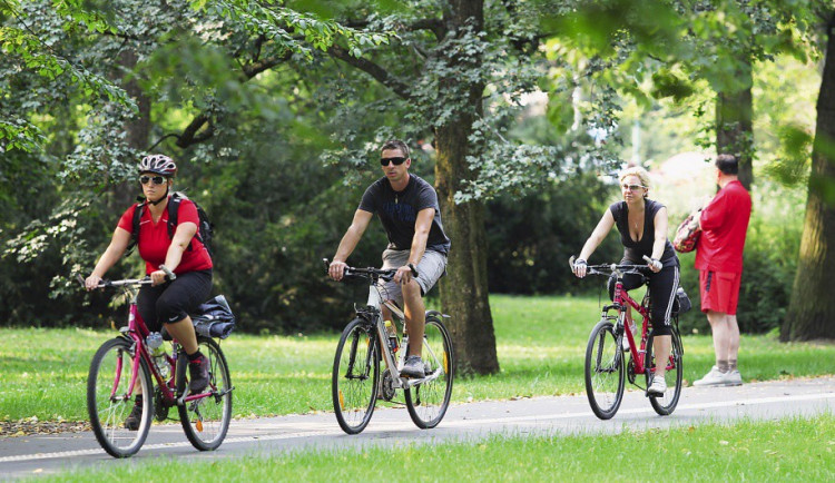 ilustrační fotografie