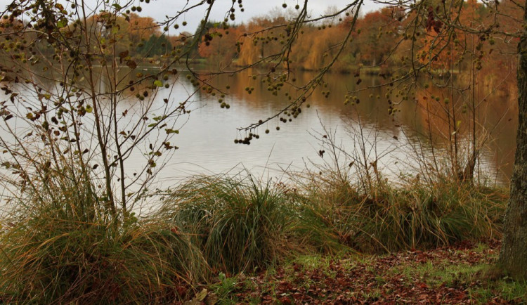 ilustrační fotografie