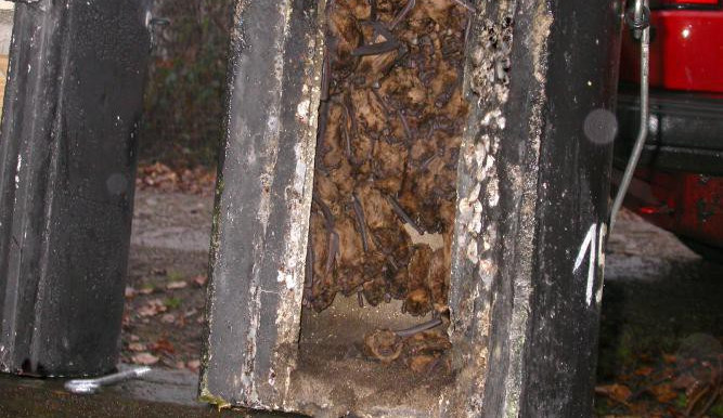 ilustrační fotografie