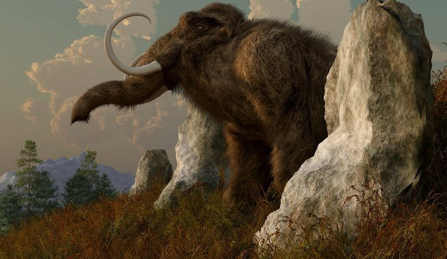 ilustrační fotografie