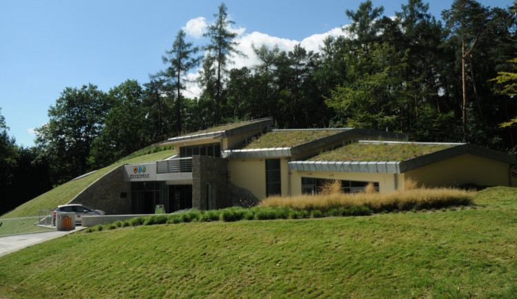 ilustrační fotografie