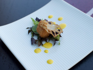 Smažený losos v panco strouhance