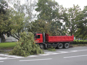 Řidič tatrovky předjížděl cyklistku, nezvládl řízení a narazil do stromu