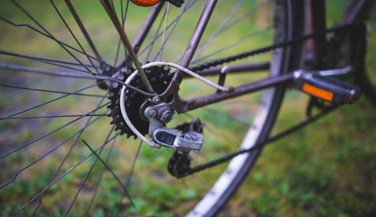 ilustrační fotografie