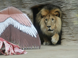 Foto: Blanka Martinovská