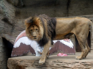 Foto: Blanka Martinovská