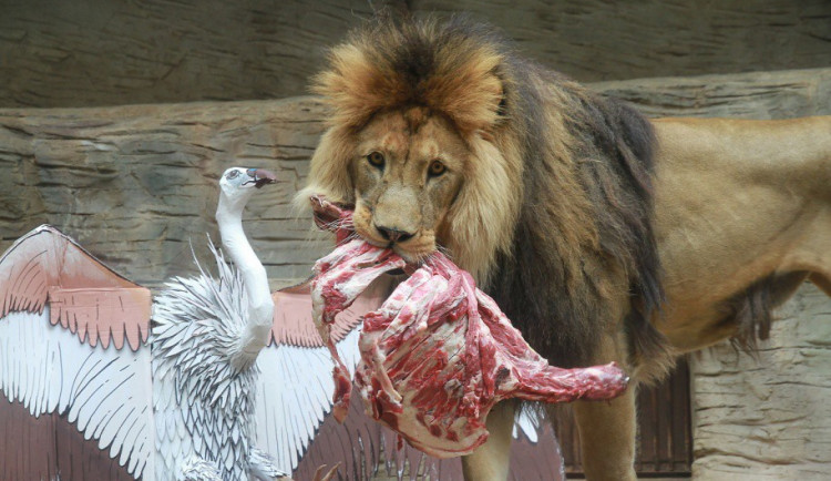 Foto: Blanka Martinovská