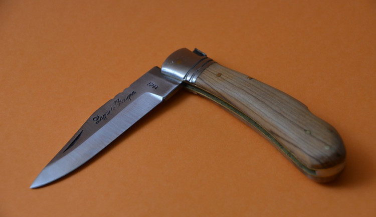 ilustrační fotografie