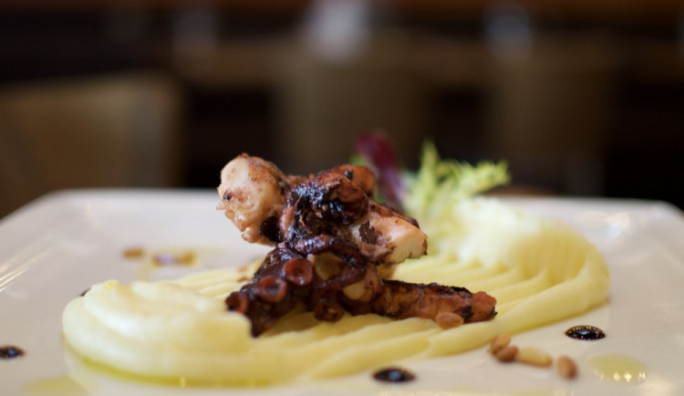 Grilovaná chobotnice, citronové pyré, smažené pinie, rukola
