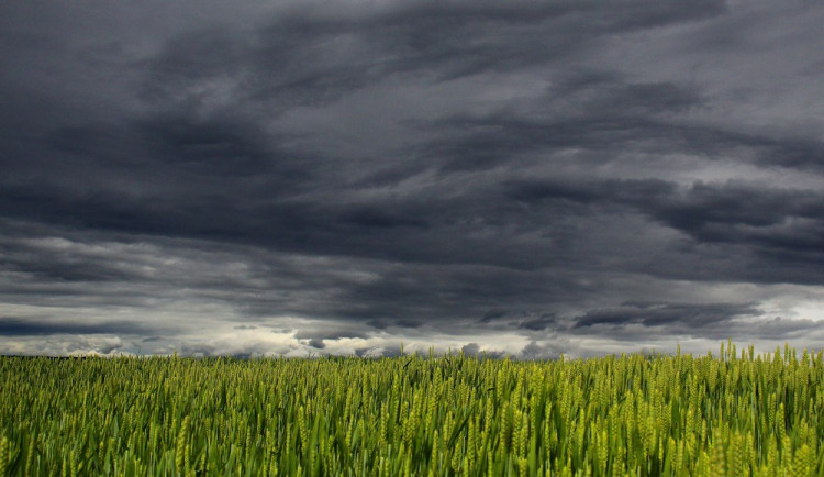 ilustrační fotografie