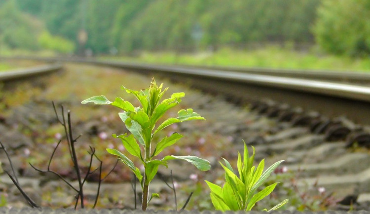 ilustrační fotografie