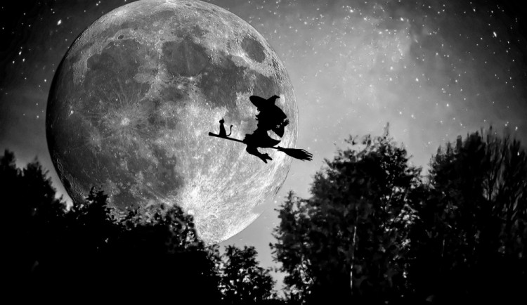 ilustrační fotografie