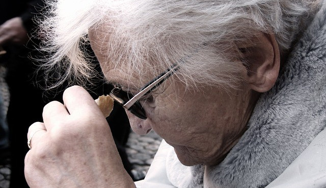 ilustrační fotografie