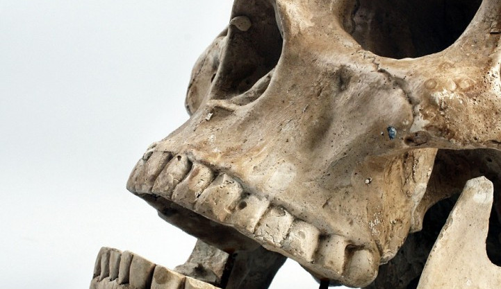 ilustrační fotografie