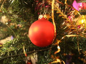Fotogalerie: Takto vypadají vánoční stromečky čtenářů Olomoucké Drbny
